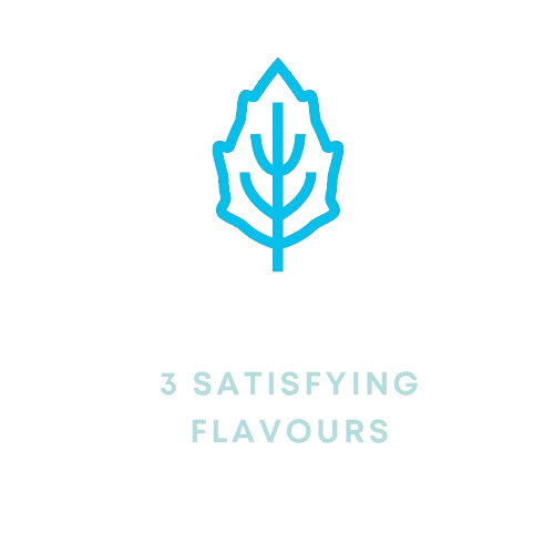 icons_500x500_FL-removebg-preview